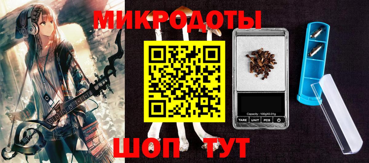 Галлюциногенные грибы Psilocybine cubensis Орск